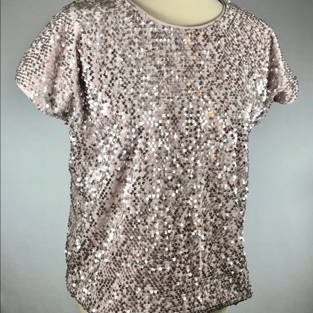 Medium Jennifer Lopez Shiny Silver Sequined Top